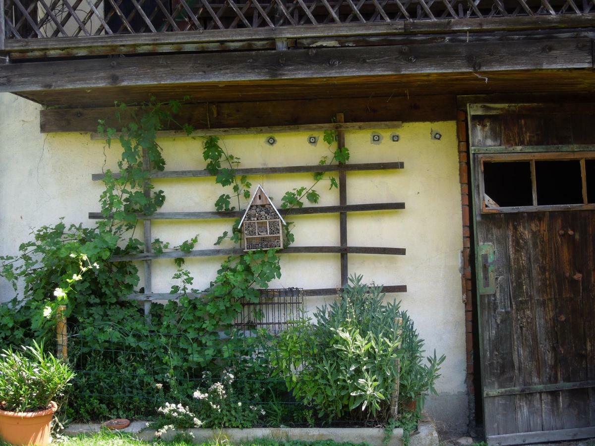 Fruehstueckspension Kammerer Pöchlarn Buitenkant foto